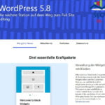 Wordpress update 5.8