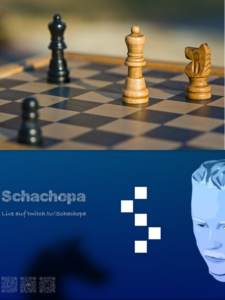 Schach Influencer Twitch