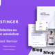 Hostinger Hosting Service
