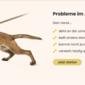 Leinenerziehung Hund