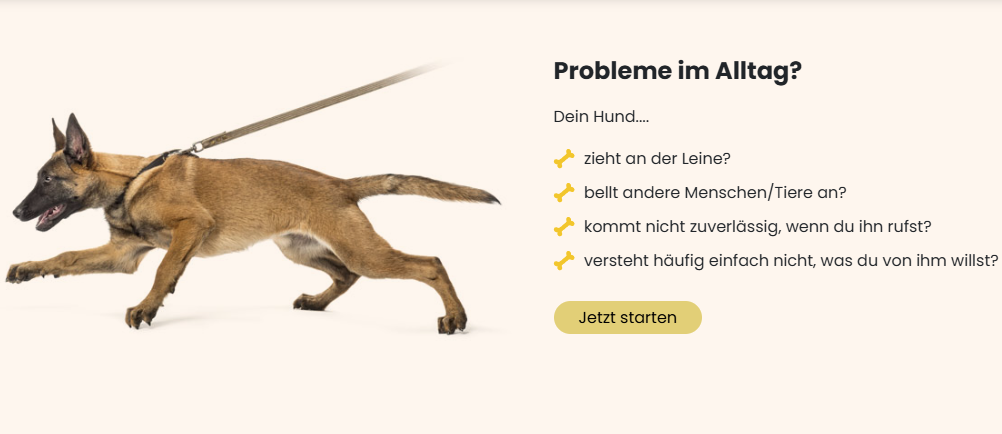 Leinenerziehung Hund
