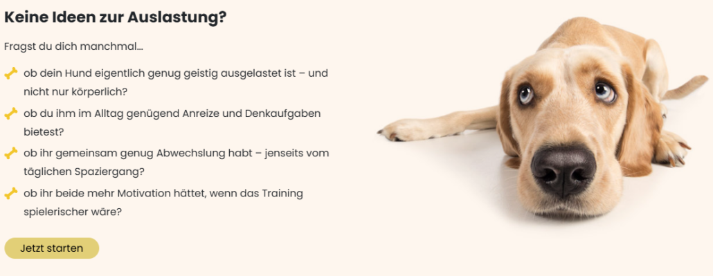 Motivation Hund