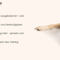 Motivation Hund