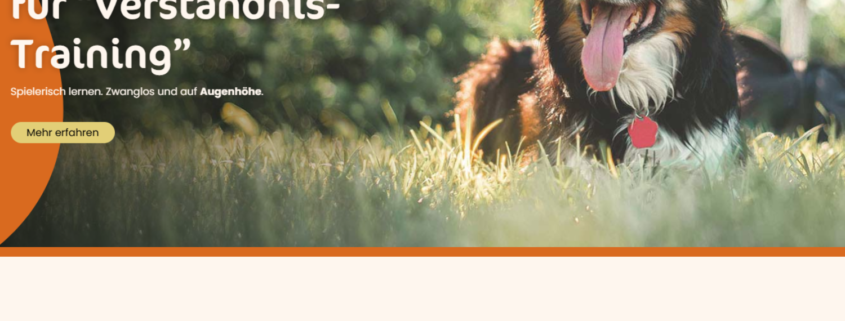 Online Hundeschule