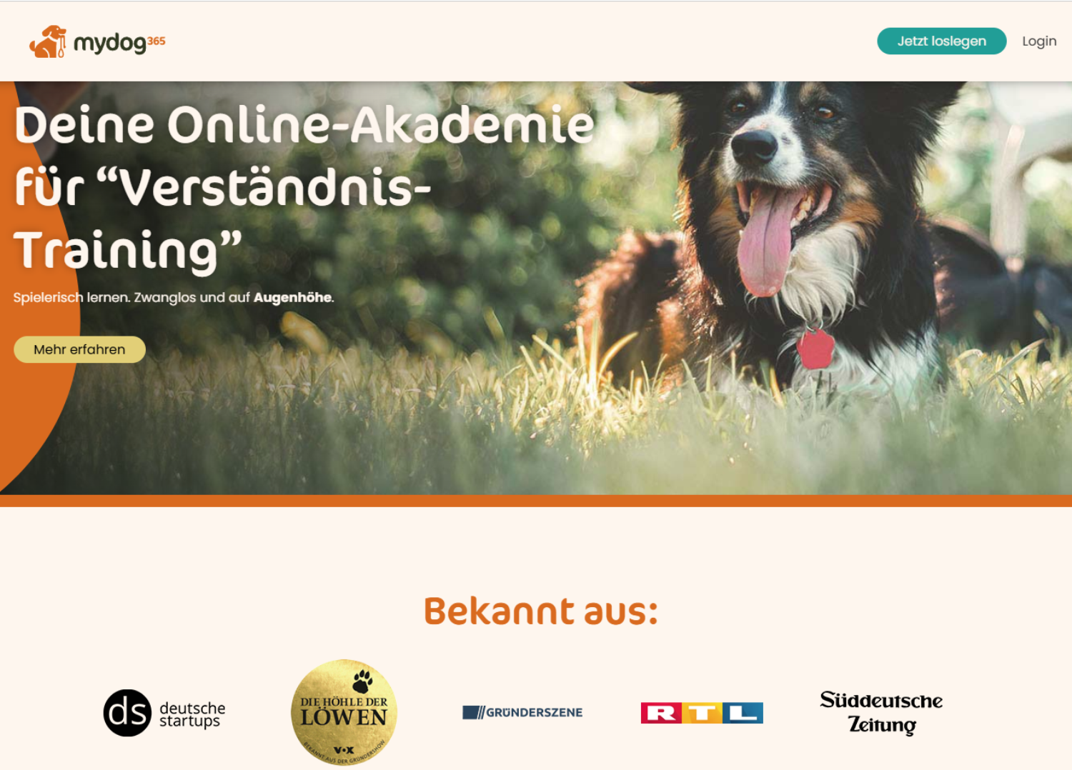 Online Hundeschule